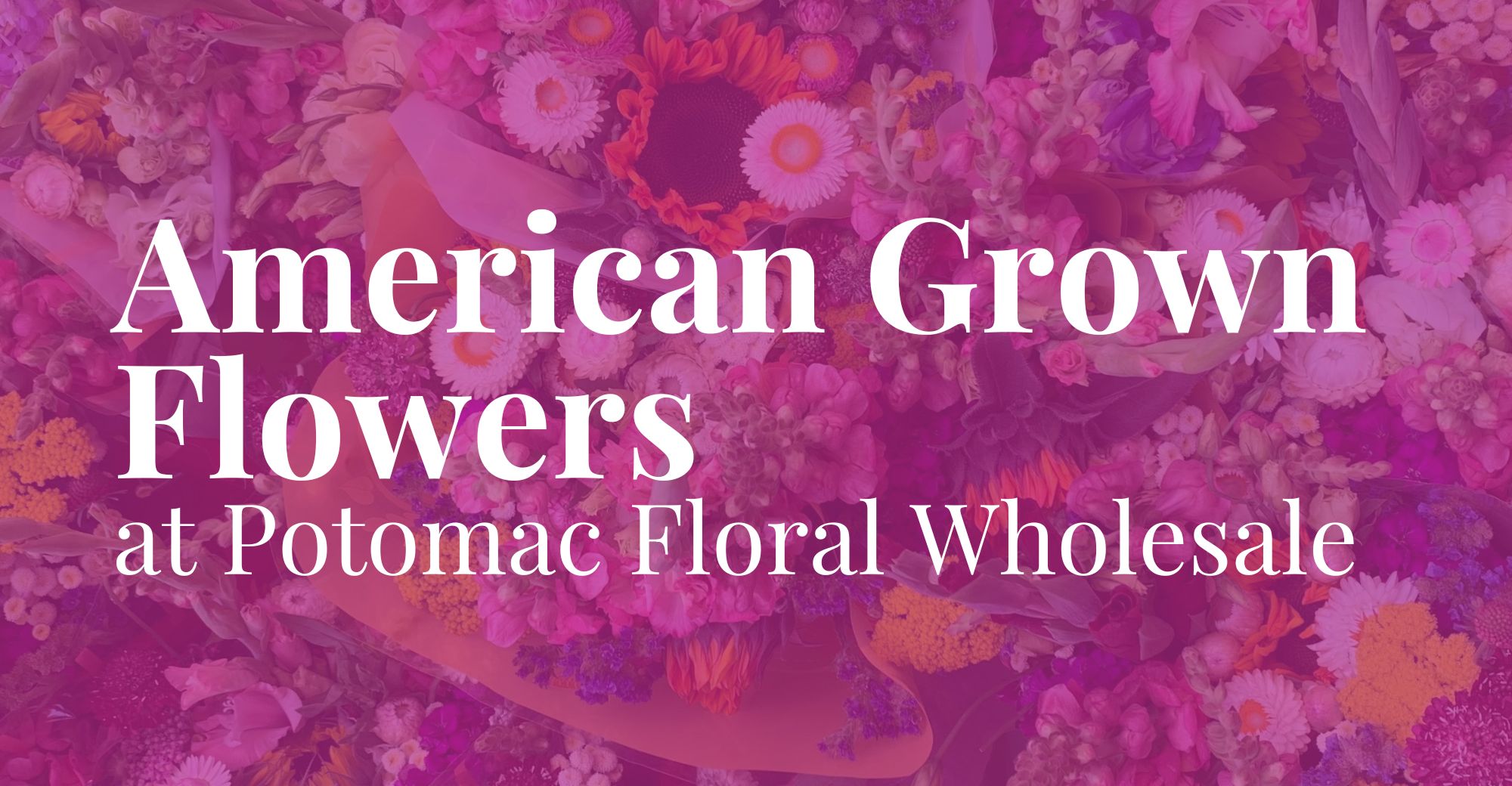 American grown flowers